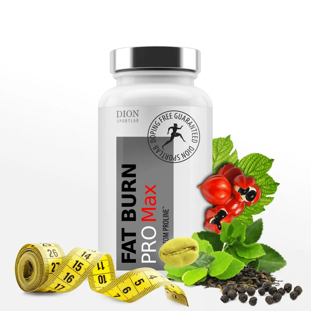 FAT BURN MAX 60 kapsulės