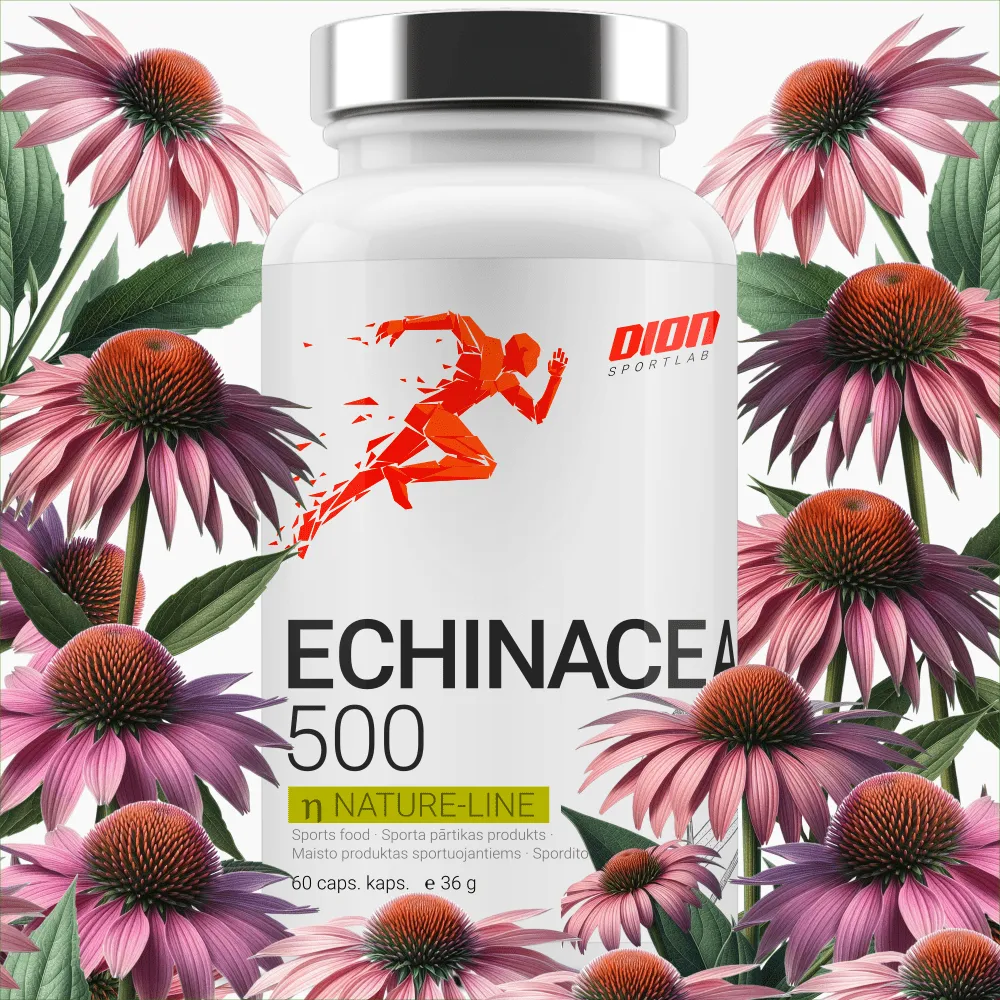 ECHINACEA 500 60 kapsulės