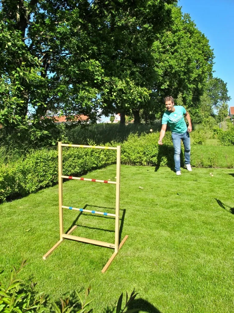 519_020_spin_ladder_action Lauko žaidimas Bex Spin Ladder Pro