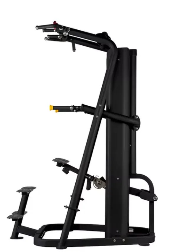 Chin-Dip Assist Smart (100kg)