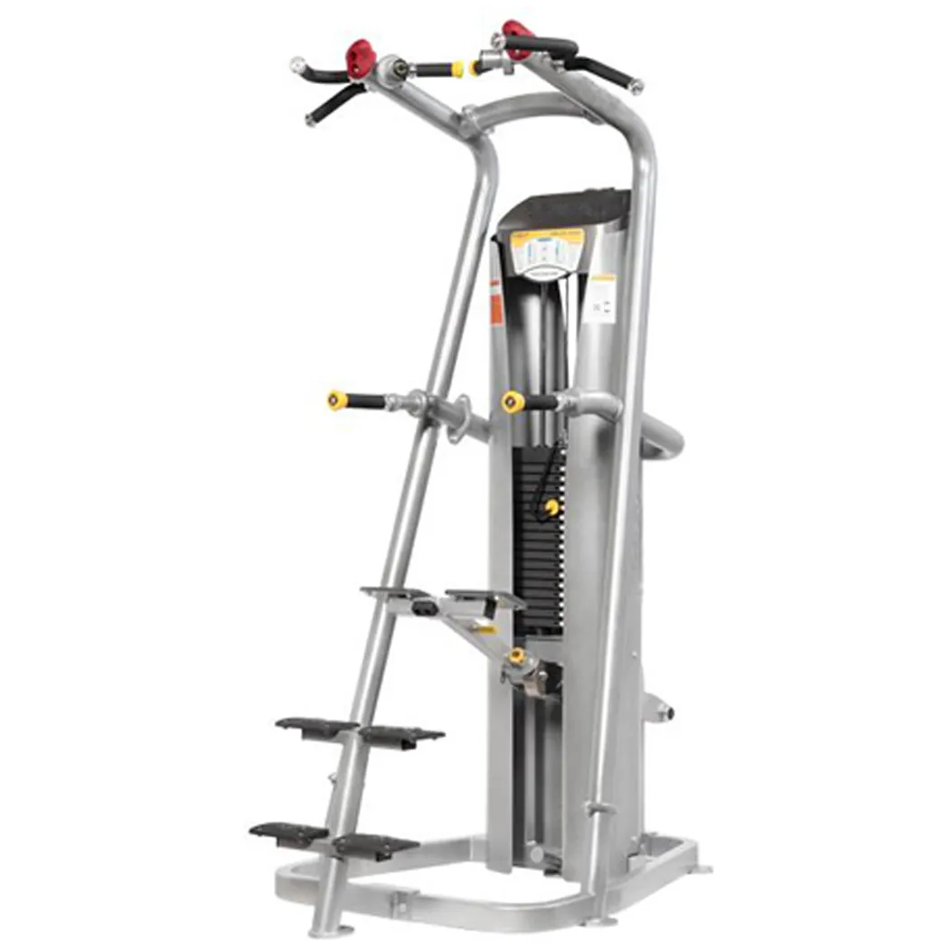 Chin-Dip Assist Smart (100kg)