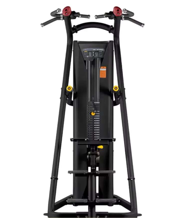 Chin-Dip Assist Smart (100kg)