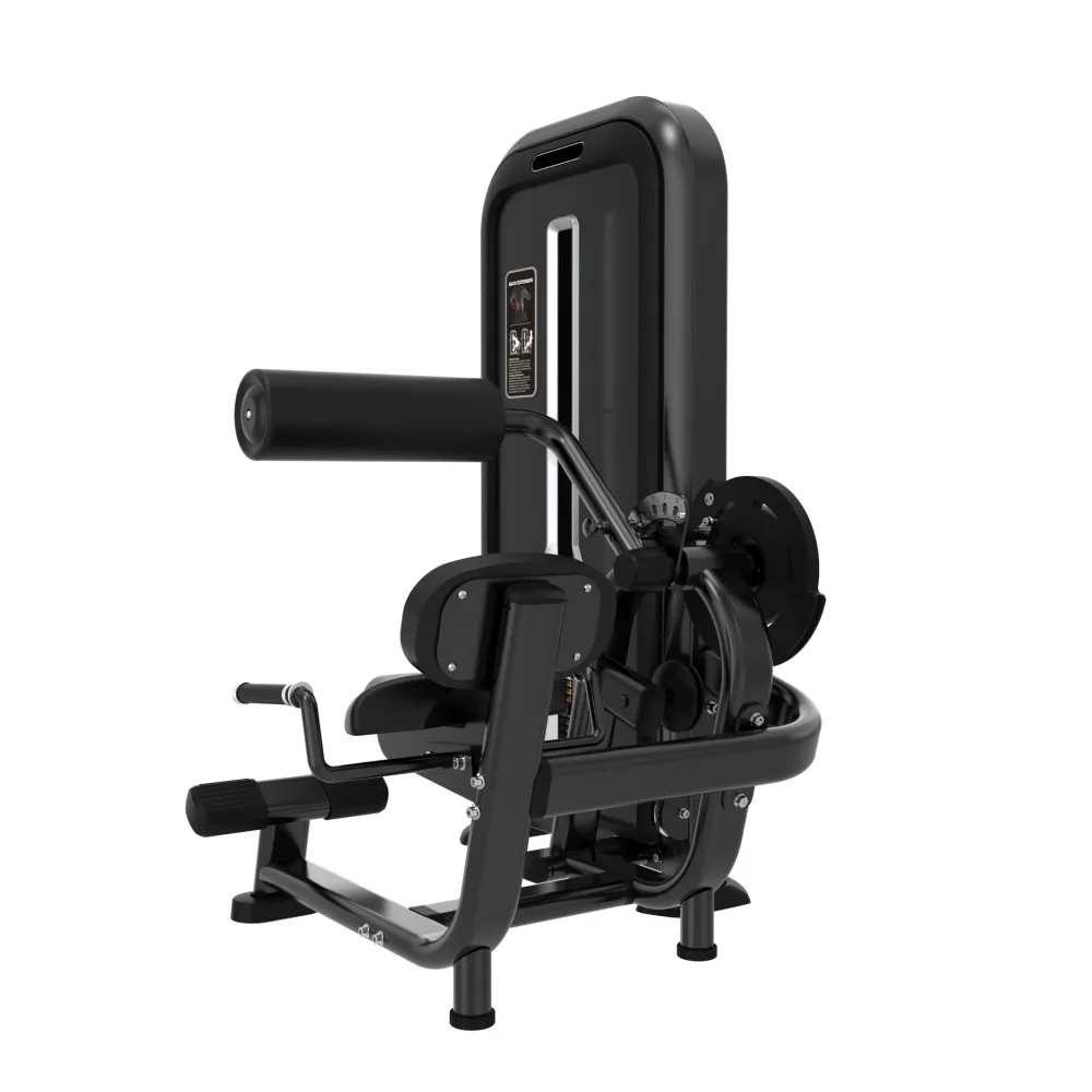 nugaros_tiesimo_treniruoklis_prove_power_line_2 Nugaros tiesimo treniruoklis Prove Power line 100kg