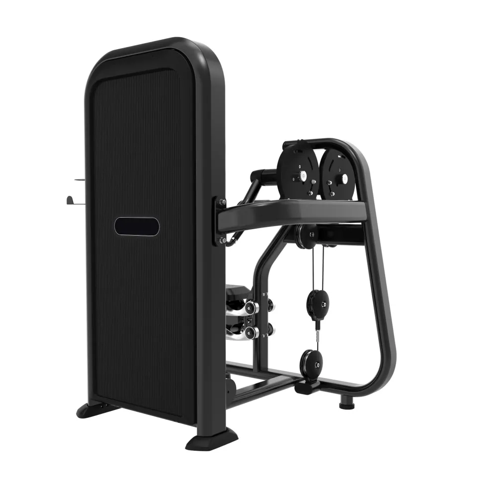 Pečių šoninio kėlimo (LATERAL RAISE) treniruoklis Prove Power line 100kg