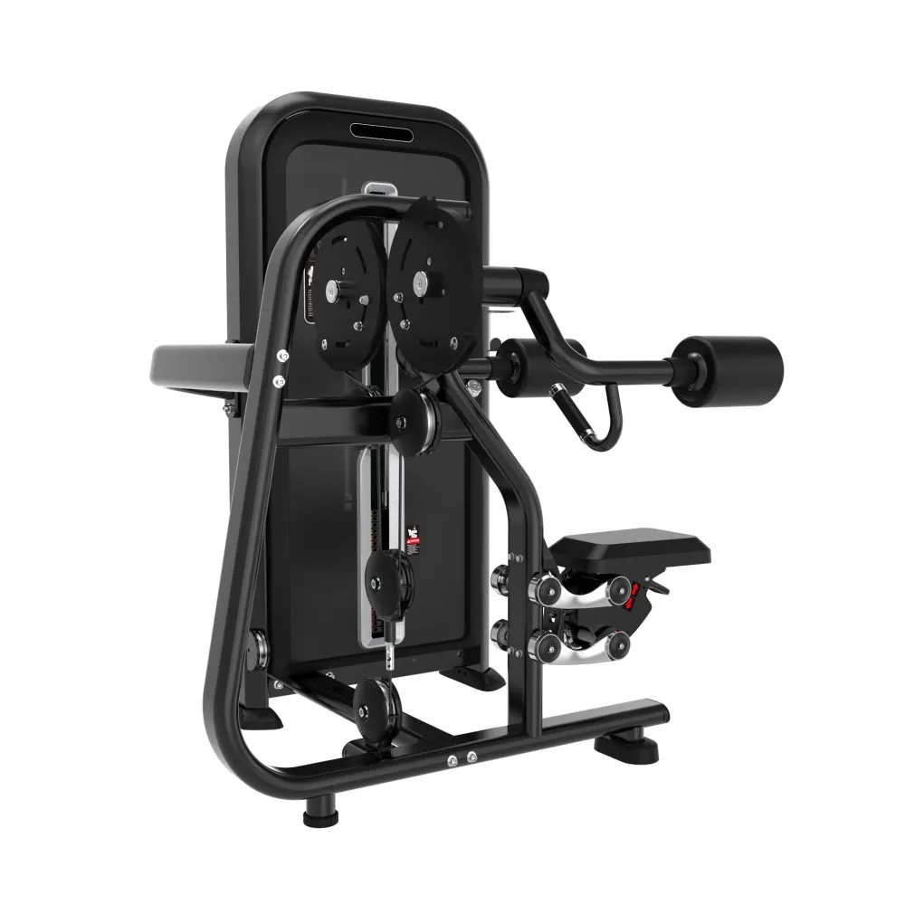 Pečių šoninio kėlimo (LATERAL RAISE) treniruoklis Prove Power line 100kg