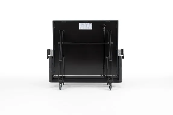 Stalo teniso stalas Sponeta DESIGN-Line Black Edition 22mm Indoor