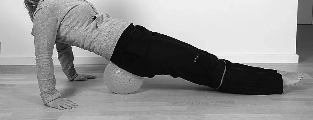 sportsmode310 Select didelis masažinis kamuoliukas