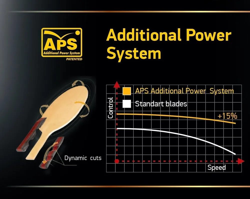 Stalo teniso rakečių rinkinys Atemi Exclusive