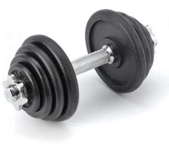 Surenkamas metalinis hantelis Prove 14kg