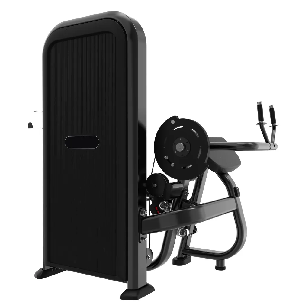 tricepso_treniruoklis_pulsogym_pr06-3 Tricepso treniruoklis Prove Power line 80kg