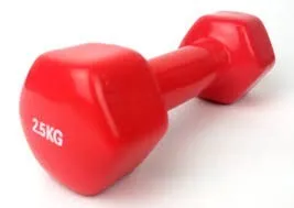 vinilinis_hantelis_2_5_kg Šešiakampis erobikos hantelis Prove 2,5kg (1vnt)